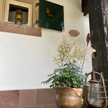 La Ferme De Grand Mere Furchhausen